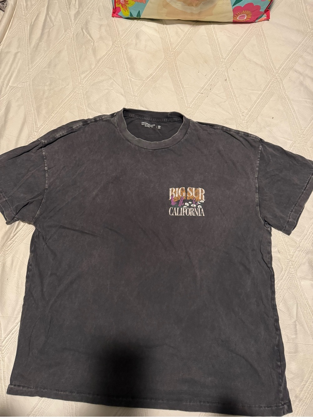 Abercrombie & Fitch Charcoal Big Sur Graphic Tee
